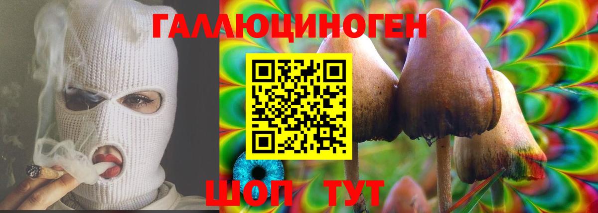 Псилоцибиновые грибы Psilocybine cubensis Луховицы
